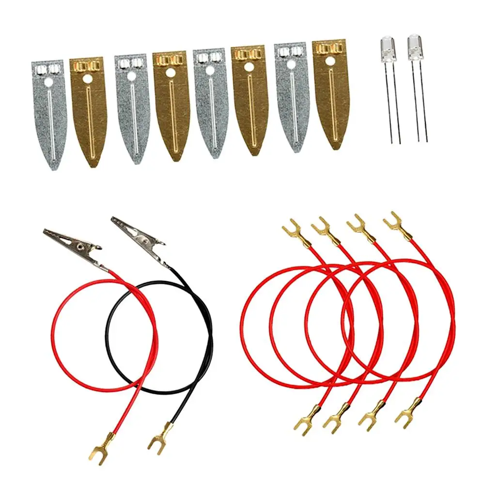 Kit scientifici Set Fruit Power Generation Esperimenti scientifici Giocattoli educativi