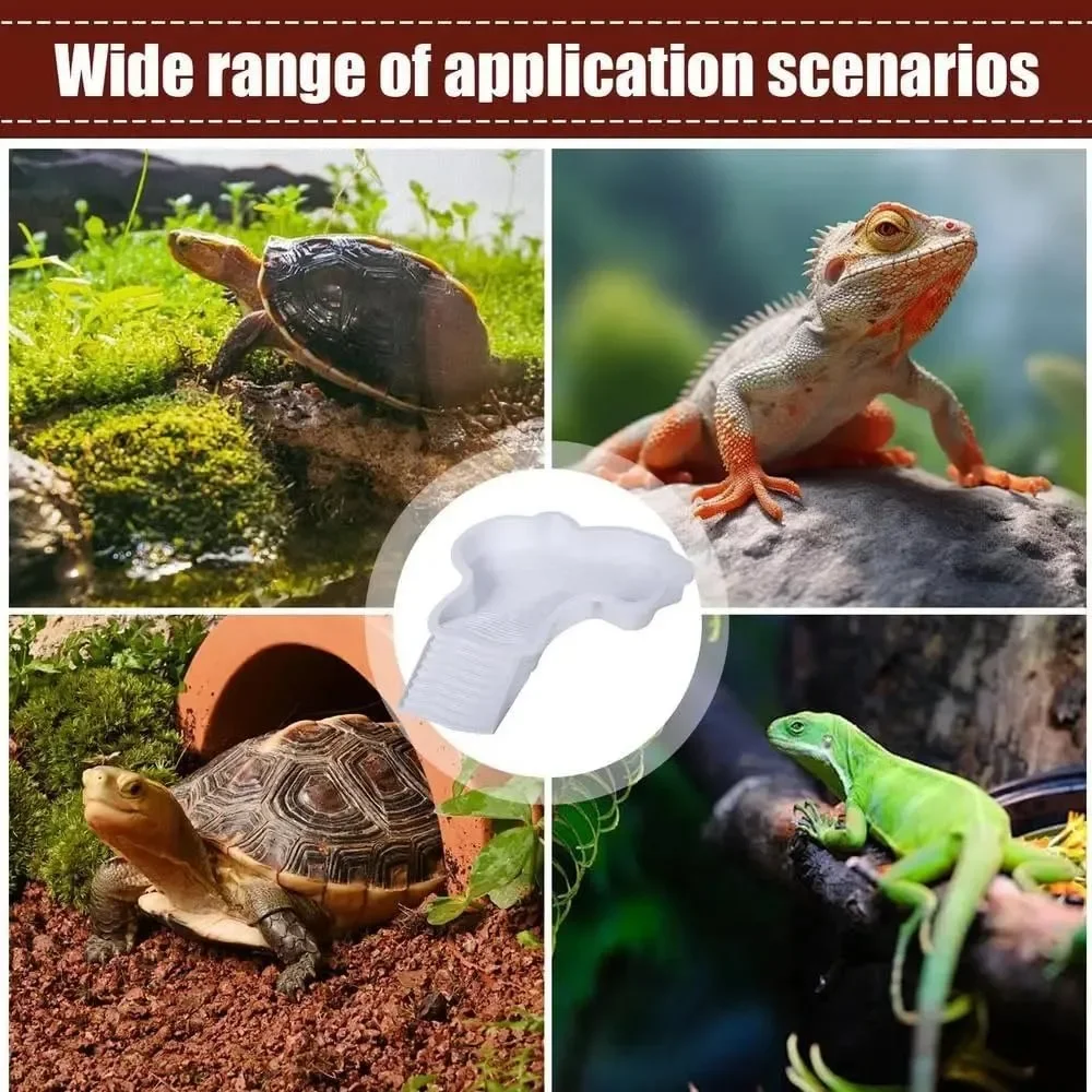 Thumbnail 4 - #31 Compare Reptile Water Bowls Before You Buy