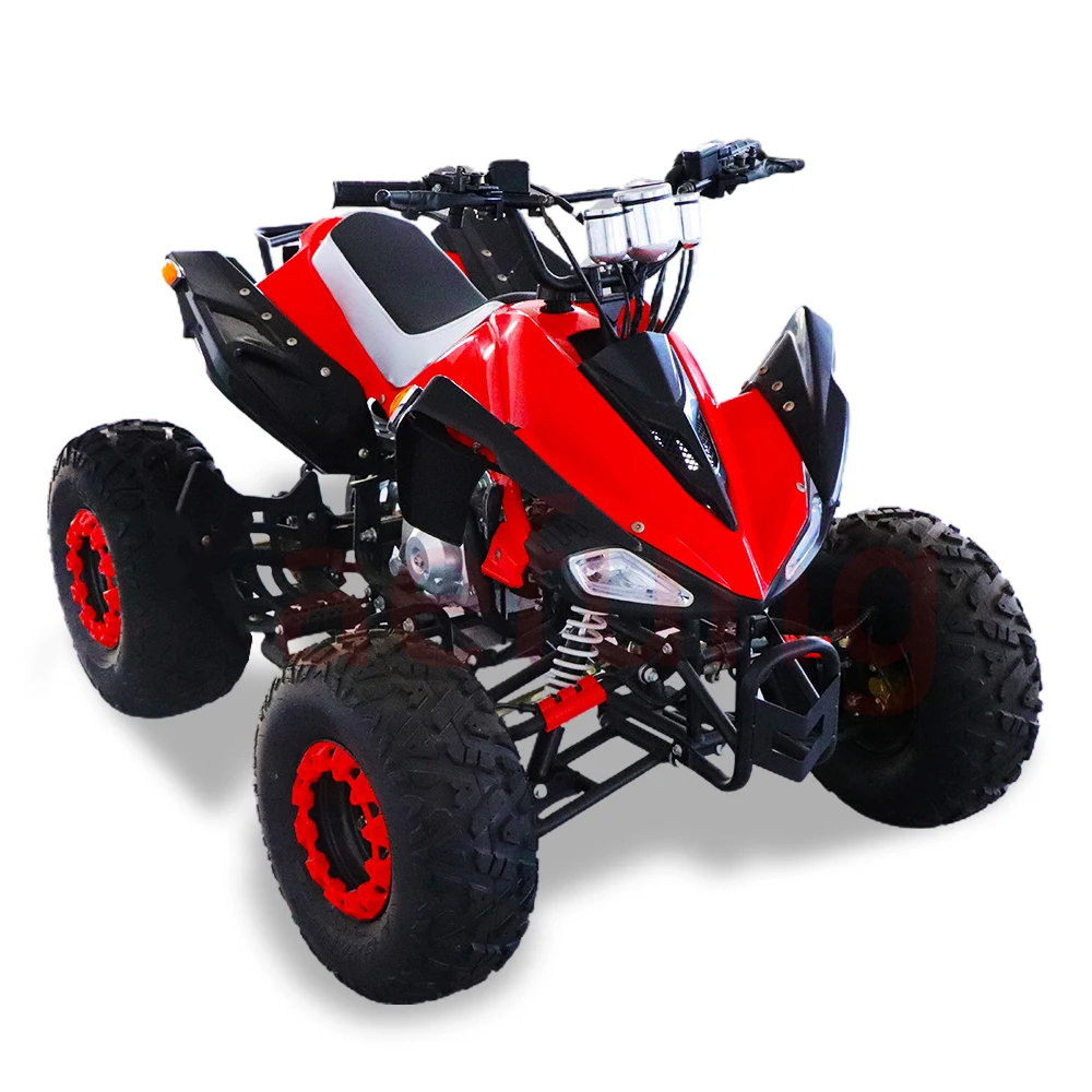 

2024 High quality 110cc 125cc atv adult atv quad bike off road motorcycles