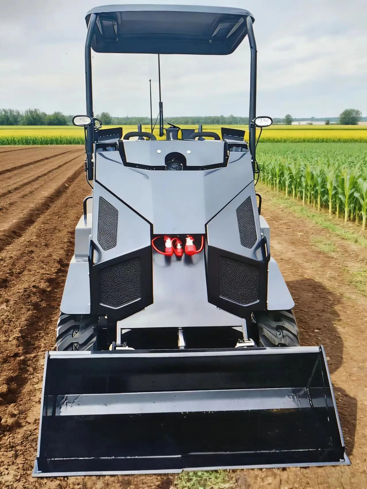 

Customized Mini Skid Steer Loader Compact For Construction Farm Snow Removal Garden Cleaning Multi-Function Small Loader