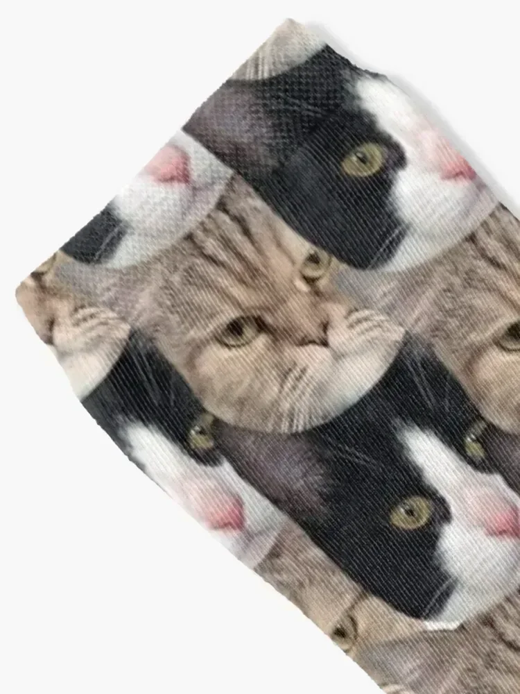 Perfect cats! Socks FASHION winter gifts warm winter happy Socks For Girls Men's