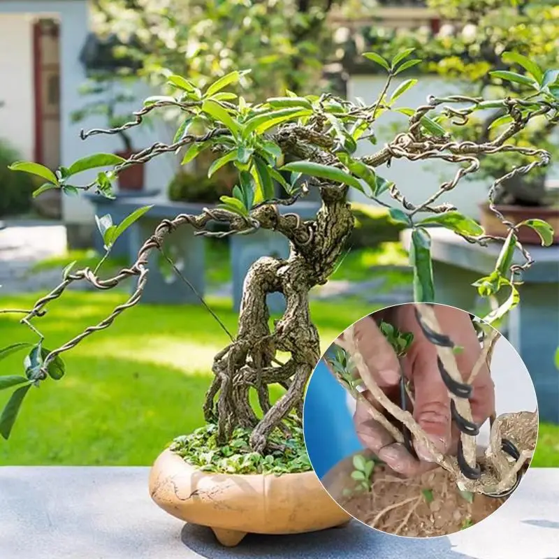 10 M Aluminum Bonsai Training Wires 1 Mm To 3 Mm Orchard Garden Plant DIY Shape Tools Home Use Accessories