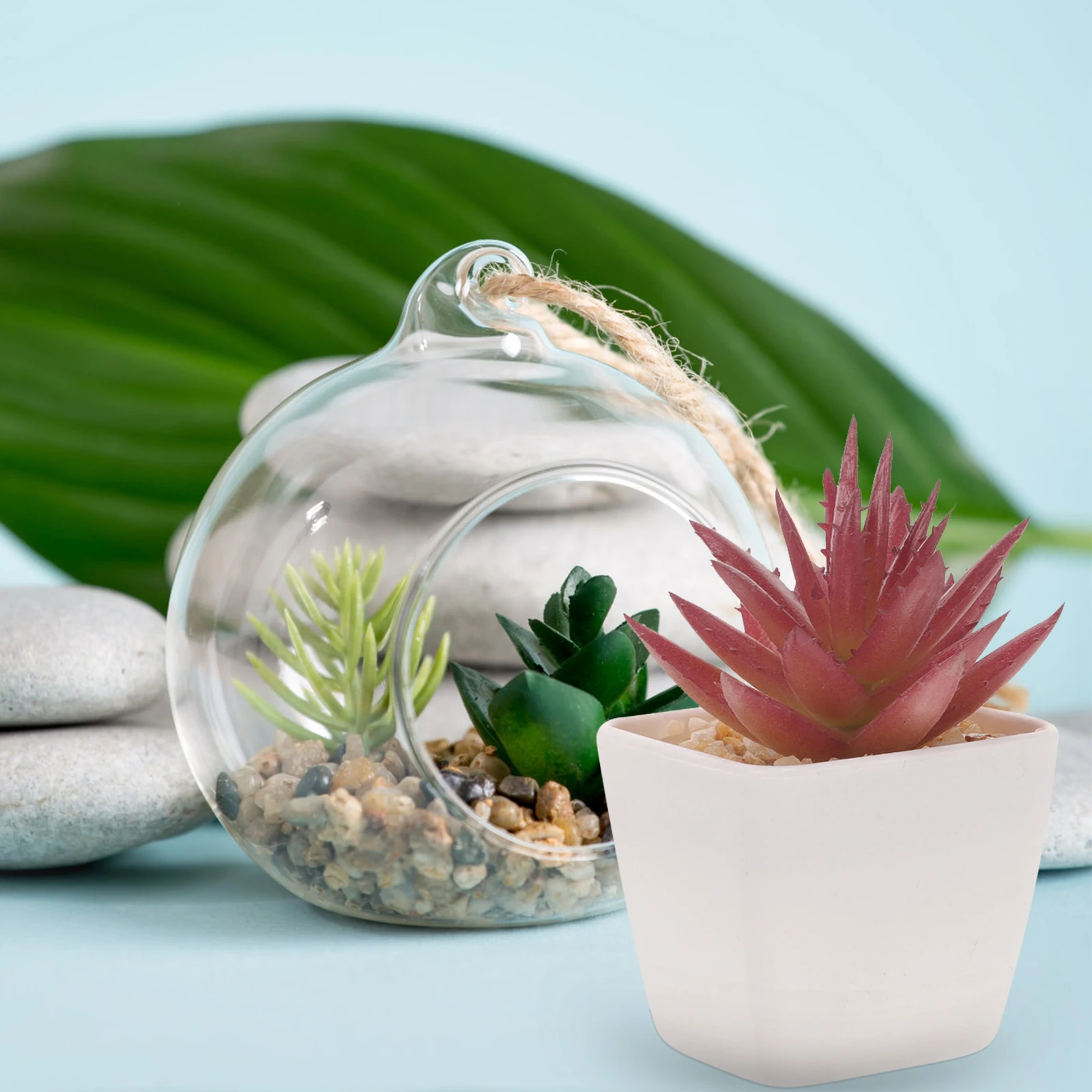 

10 Pcs Succulents Small Red Aloe Plants Mini Cactus Miniature Succulents Figurines Figurines Home Office Decor Long Lasting