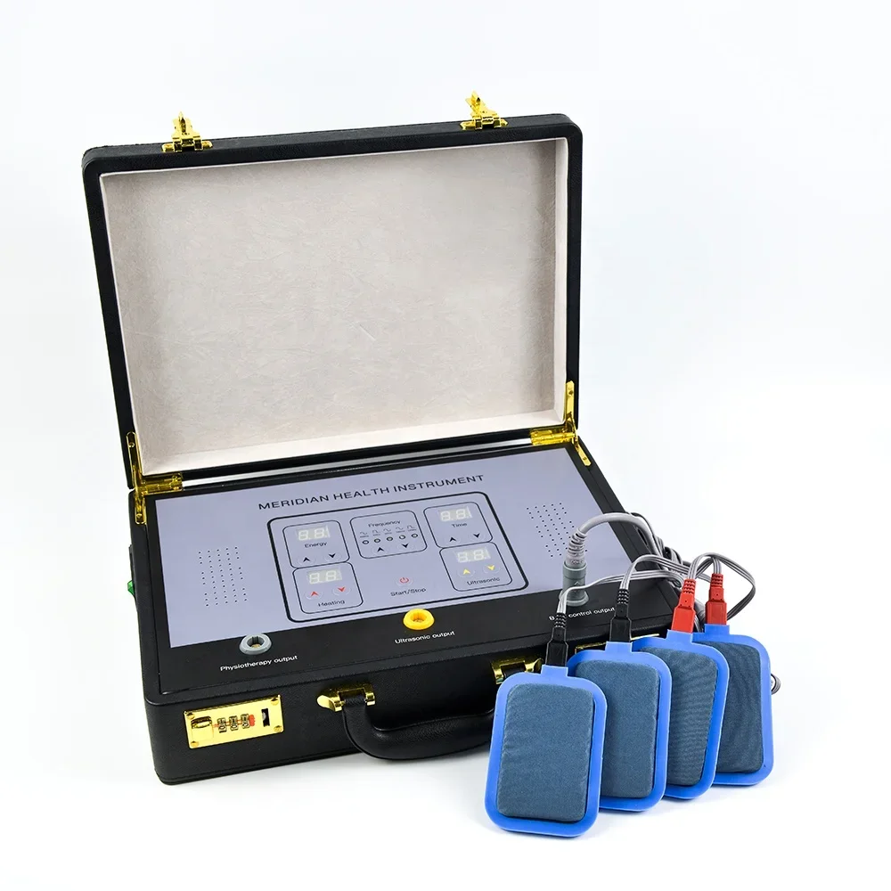2025、Therapeutic  machine dds bio electric massage machine health energy instrument meridian therapy machine dds