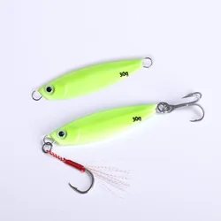 15g 20g 25g 30g 40g 50g 60g luminous glow metal sea bass mackerel snapper fishing lure cast fishing bait jigging lure sea
