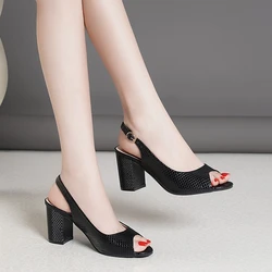 Women's Pumps Peep Toe Slingback Chunky Heeled High Heels Casual Basic Black White Platform Sandals Summer Spring Autumn Shoes