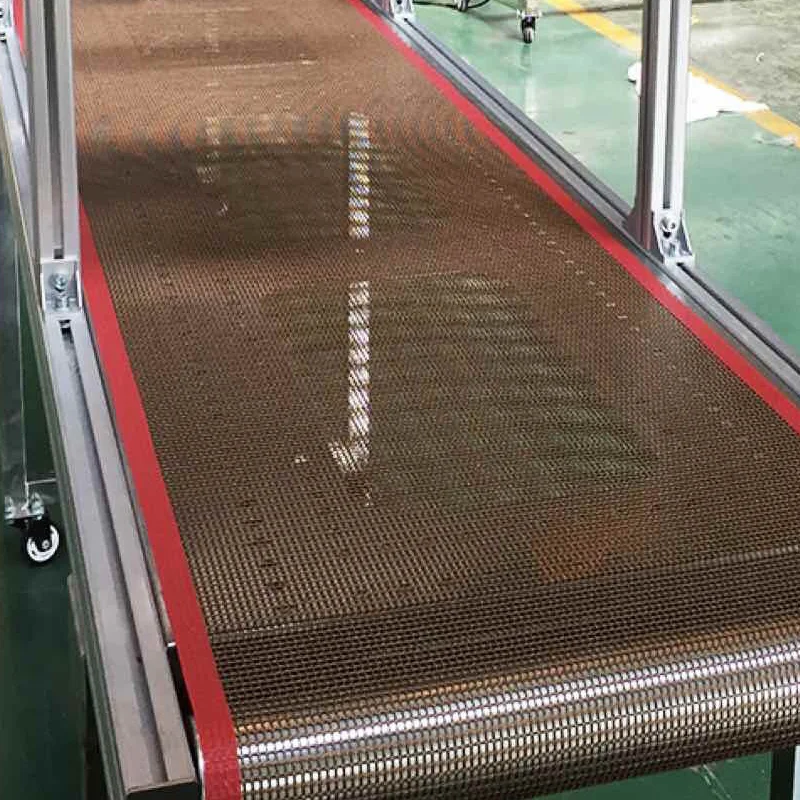

Non-sticky PTFE ptfe food industry Mesh belt conveyor