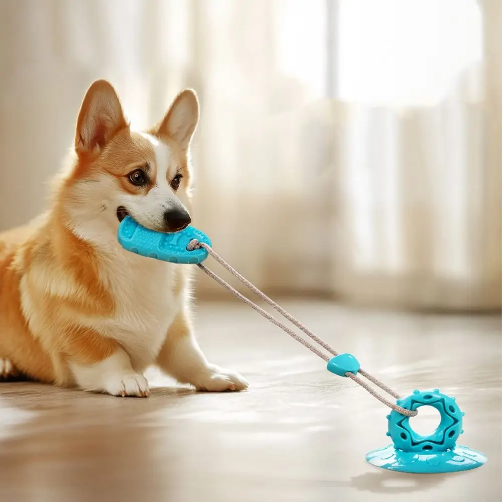 

TPR Dog Suction Cup Slippers Toys Bite-Resistant Interactive Ball Pet Teeth Grinding Toy Elastic Dog Chew Toy Dog Teeth Cleaning
