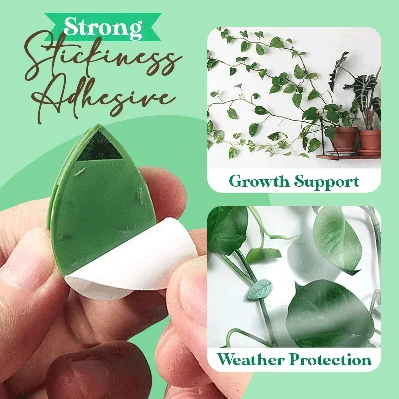 10PCS Plant Climbing Artifacts Fixing Clip Leaf Shape Self-Adhesive Invisible Garden Hook Support for Climbing Plants  Traceless