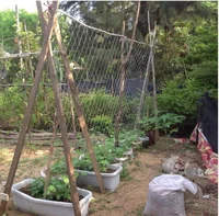Horticultural Plant Climbing Net, Polyester Woven Net, Suitable for Other Climbing Plants Such As Tomatoes, Beans, Grapes, Etc 2