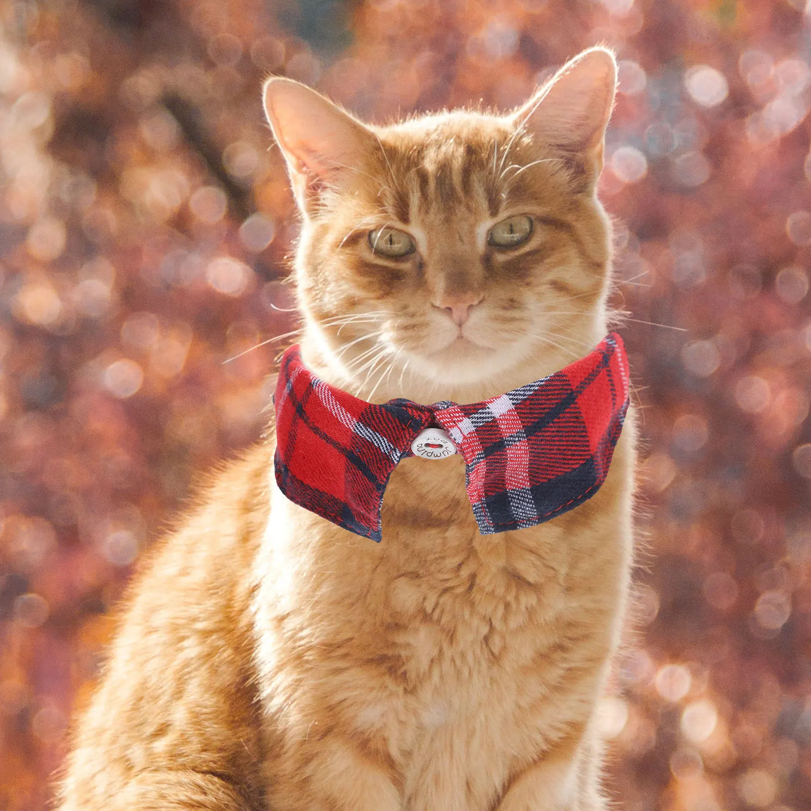 

Adjustable Cat Collar Check Pattern Bell Decorative Pet Collar For Small Cats Kitten Collars Comfortable Durable