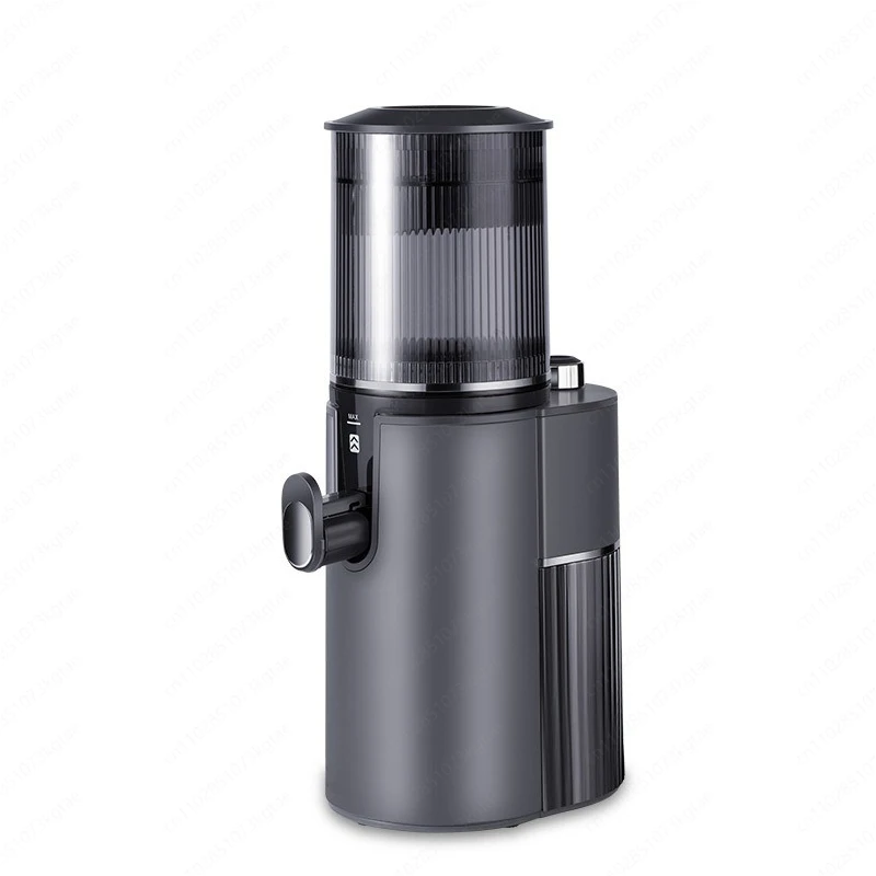 European standard large diameter household raw juice machine separation juicer slow multi-function juicer