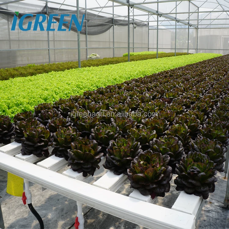 Komercyjny system hydroponiczny NFT