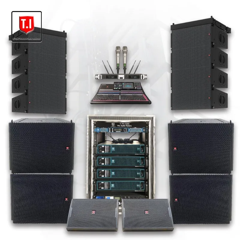 Dual 6.5 Inch Smooth Balanced Tone For Stage Performance 300W Clear Sound Ideal For Live Show