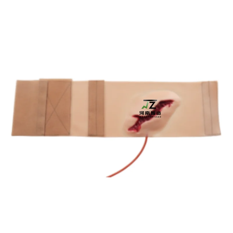 

Specialized for teaching and training Emergency Simulation Model for Control Bleeding and Stopping Blood Flow from Leg Wounds