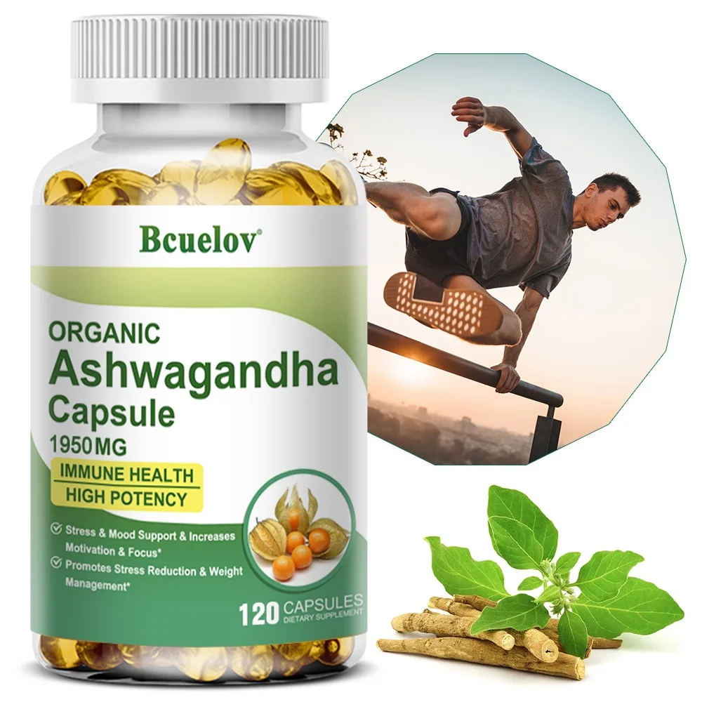 

Капсулы Ashwagandha — с черным перцем, помогает повысить поддержку сна, расслабление мышц и улучшает стресс и тревогу.