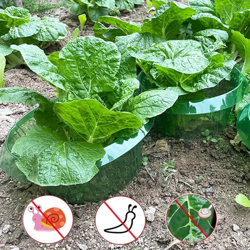 Garden Cloches For Plants 10PCS Collar Plant Guard Protective Collar Plant Guard Vegetable Growth Snail Defense For Vegetables