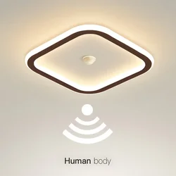 Modern LED Ceiling Light Human Body Induction Lamp for Living Room Entrance Hallway Corridor Sensor Lamp indoor lighting fixture