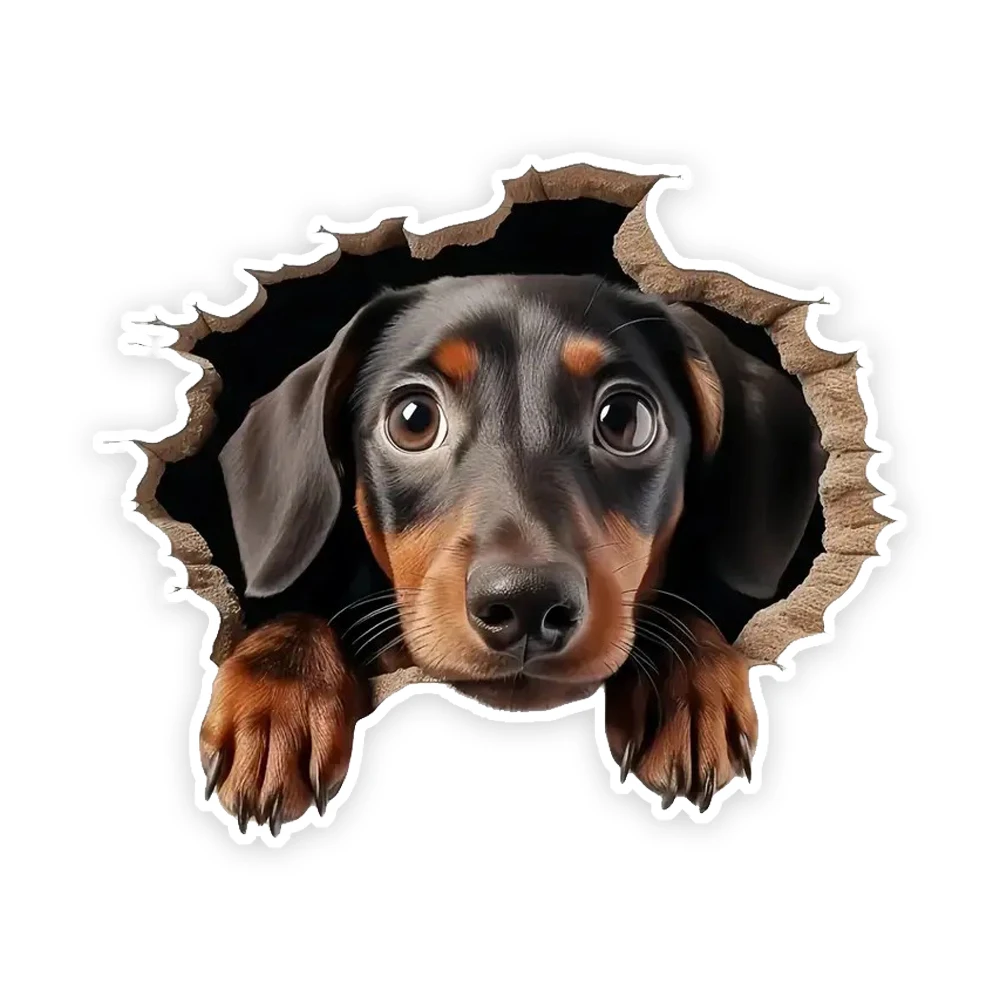 

15x12.5cm 3D Cracked Dachshund Vinyl Car Sticker, Self-adhesive, Waterproof Vinyl Stickers for Car, Bumper, Window, Laptop, Wall