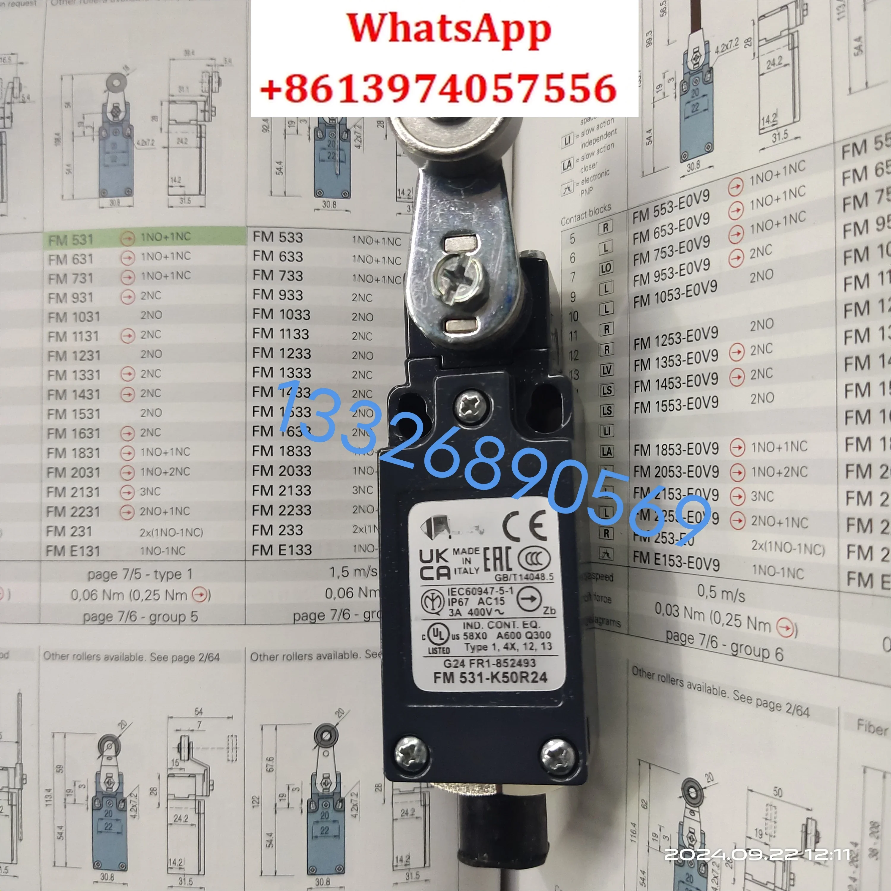 Limit switch FM 531-K50R24