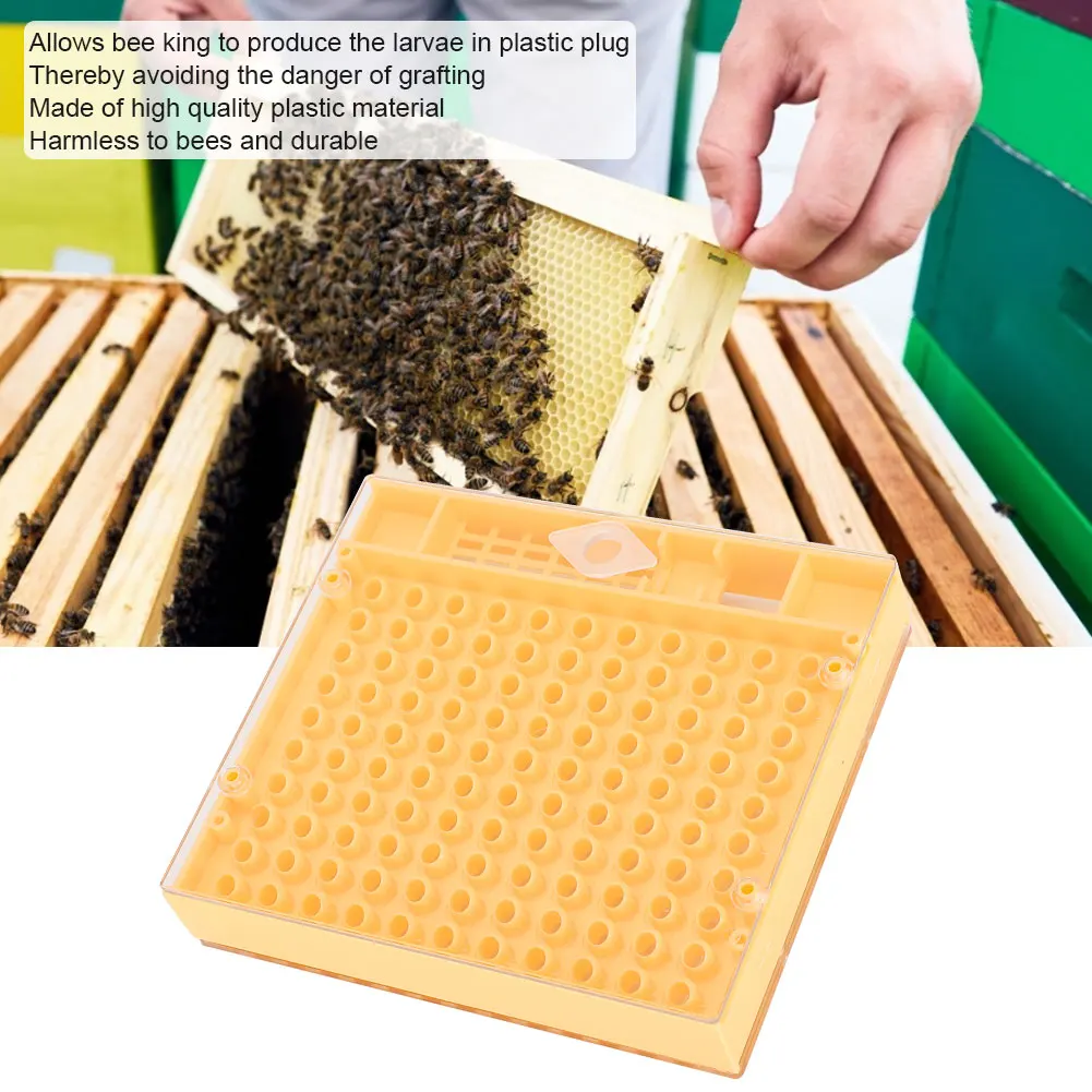 Plastic Bee King Incubator Free Move Harmless Breeding Box Beekeeper Beekeeping Tool