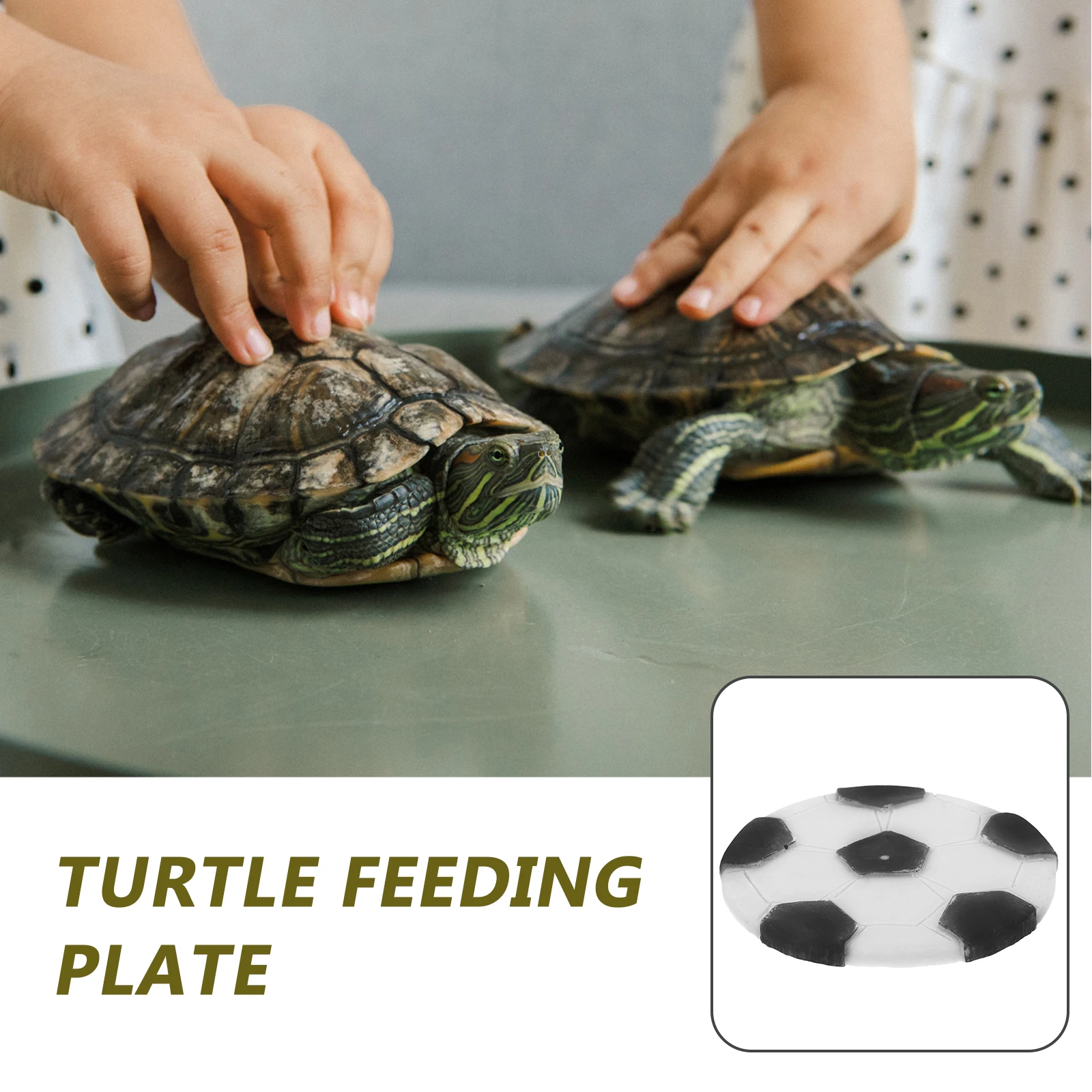 

Reptile Basking Platform Resin Tortoise Feeding Plate Aquarium Tank Decorative Multifunctional Pet Playground Basking Platform