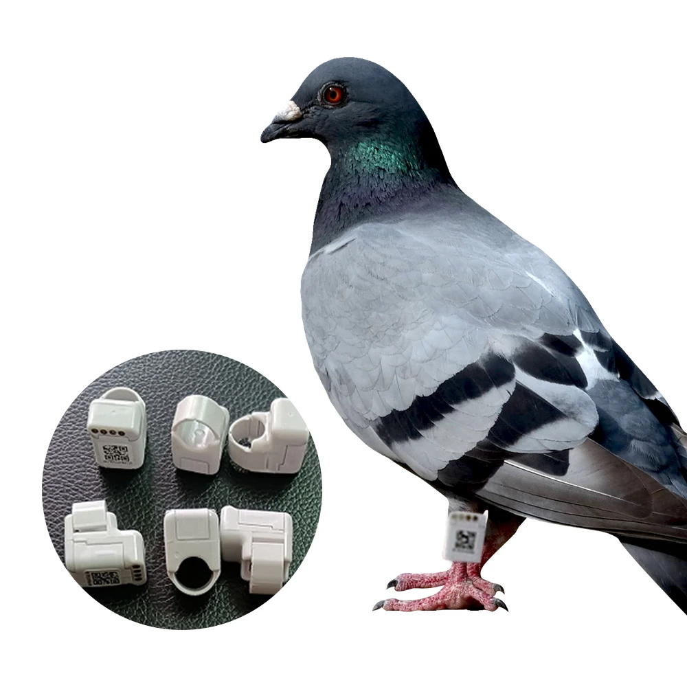 

small bird gps tracker Gps Pigeon Tracking Foot Ring For Pigeon Racing Training gps para pajaros