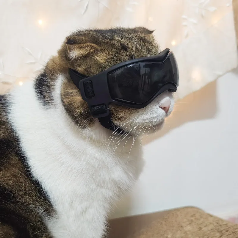 Pet Sunglasses Cat Dog UV Protection Soft Frame Adjustable Strap Comfortable Goggles Outdoor Use Stylish Pet Eyewear Accessories