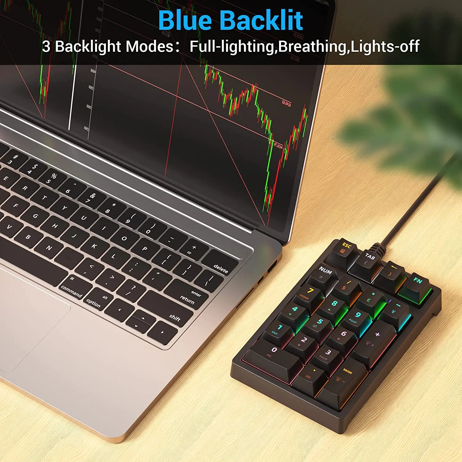Mechanical USB Wired Numeric Keypad with RGB LED Backlit 21 Key Numpad Mechanical Numeric Keyboard for Laptop Desktop