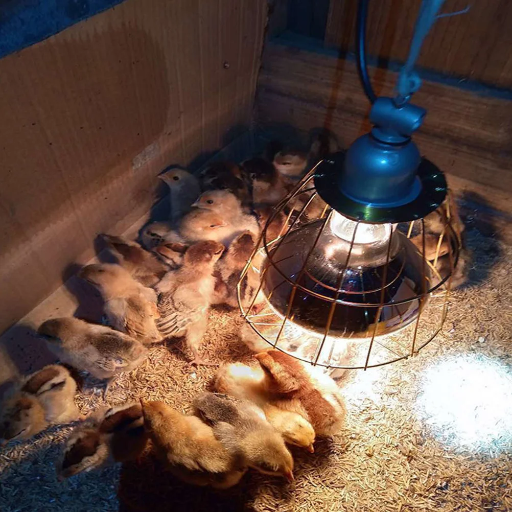 

3pcs Heating Bulb Cages Iron Wear-Resistant High-Temperature Resistant For Livestock Chickens Ducks Geese Heat