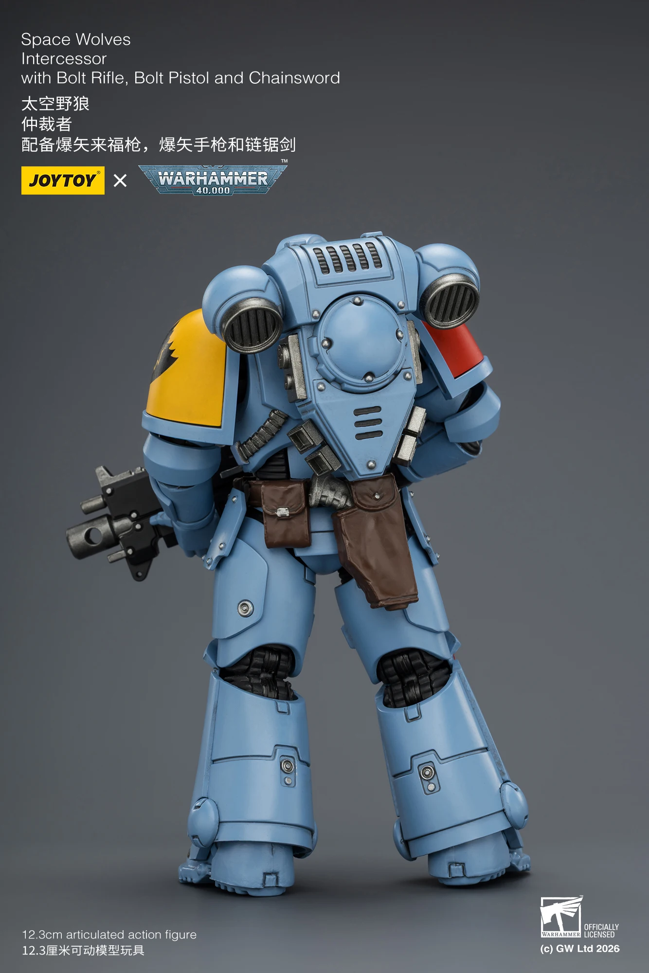 1/18 JOYTOY Actionfigur 40K Ultramarines Imperial Fists Blood Angels Intercessor Anime-Modell Sammlerstück – Detail 39