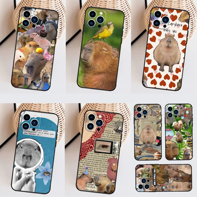 Funny Capybara For … - image