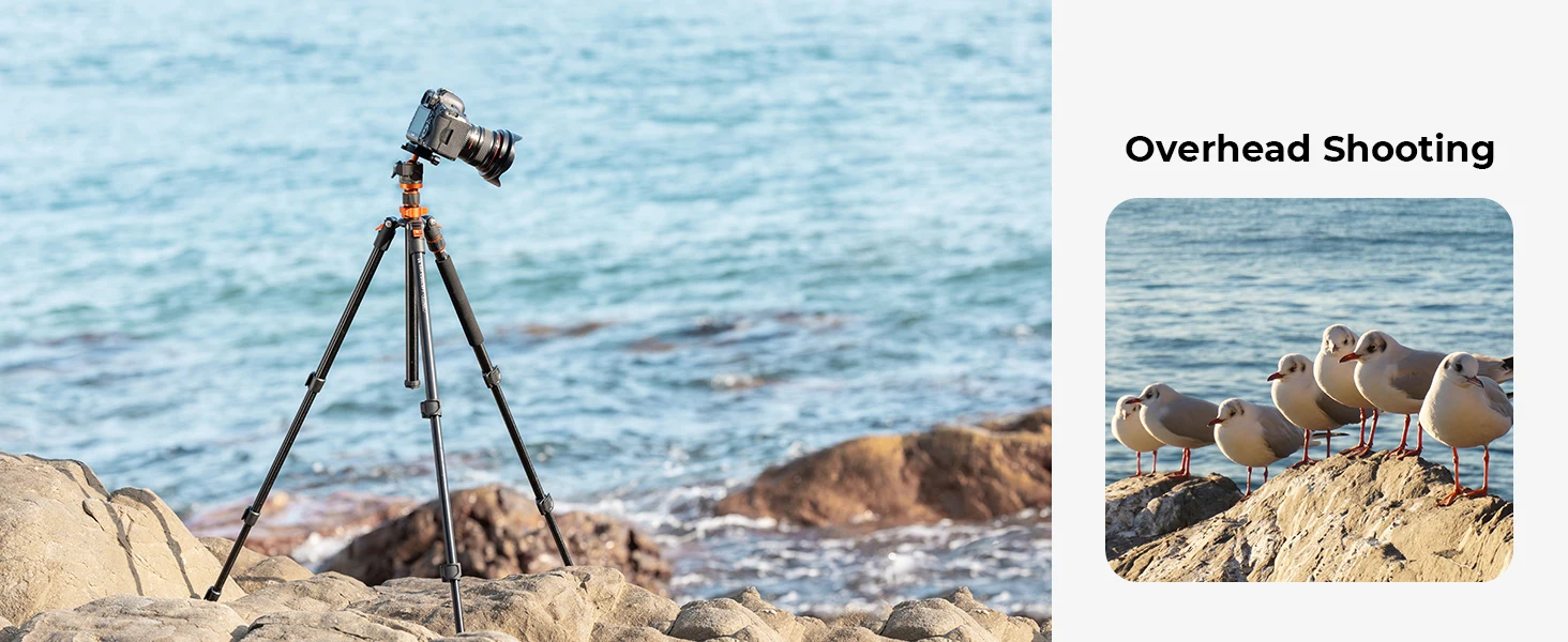 K&F CONCEPT 2 m Overhead-Aluminium-DSLR-Stativ, kompaktes tragbares Vlog-Stativ, Einbeinstativ, 22 lbs/10 kg Tragkraft, K234A7 + BH-28L Kamerastative – Detail 3