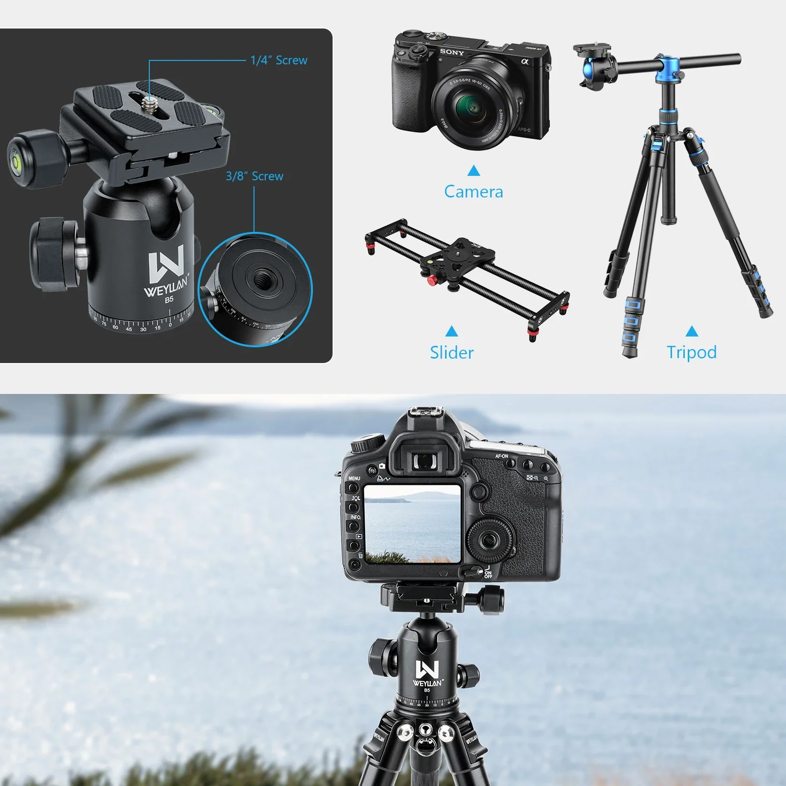 WEYLLAN B5 Ballhead Tripod Mount Adapter 36mm Ball Head Adapter 1/4 3/8 Inches Screw Hole Quick Release Plate for Camera Tripod