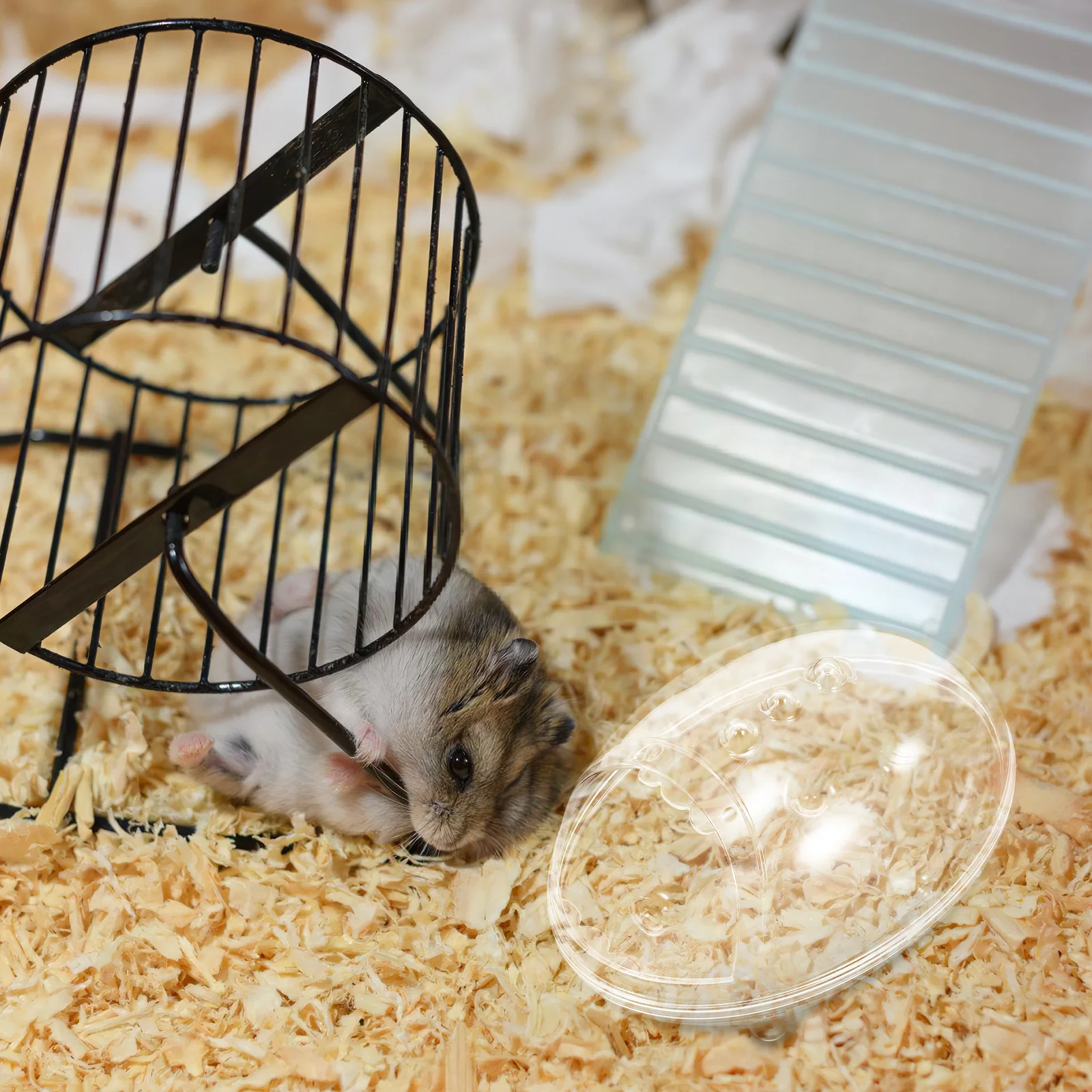 

Hamster Transparent Sand Bath Box Bathroom Bathing Bowl Small Pet Cage Toilet Accessories Dust Bath Container Hamster Bathtub