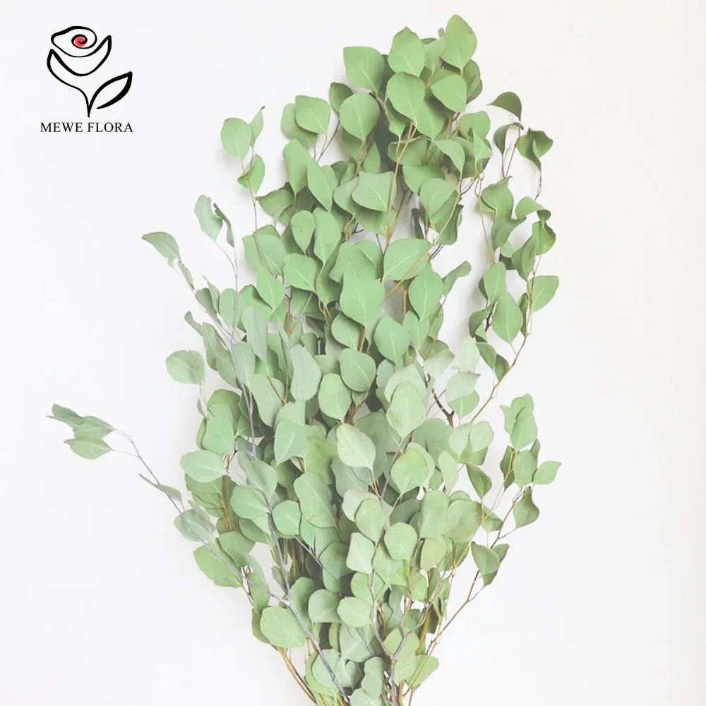 Preserved Eucalyptus Leaves Dried Green Plants Home Decoration Hanging Flowers Hotel Bathroom Flower Arrangement DIY Material