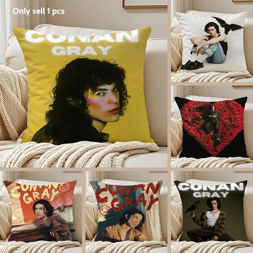 C-conan grayS Cushion Cover Pillowcase Ultra Soft Skin Friendly Fabric Cloud Like Comfort & Concealed Zipper