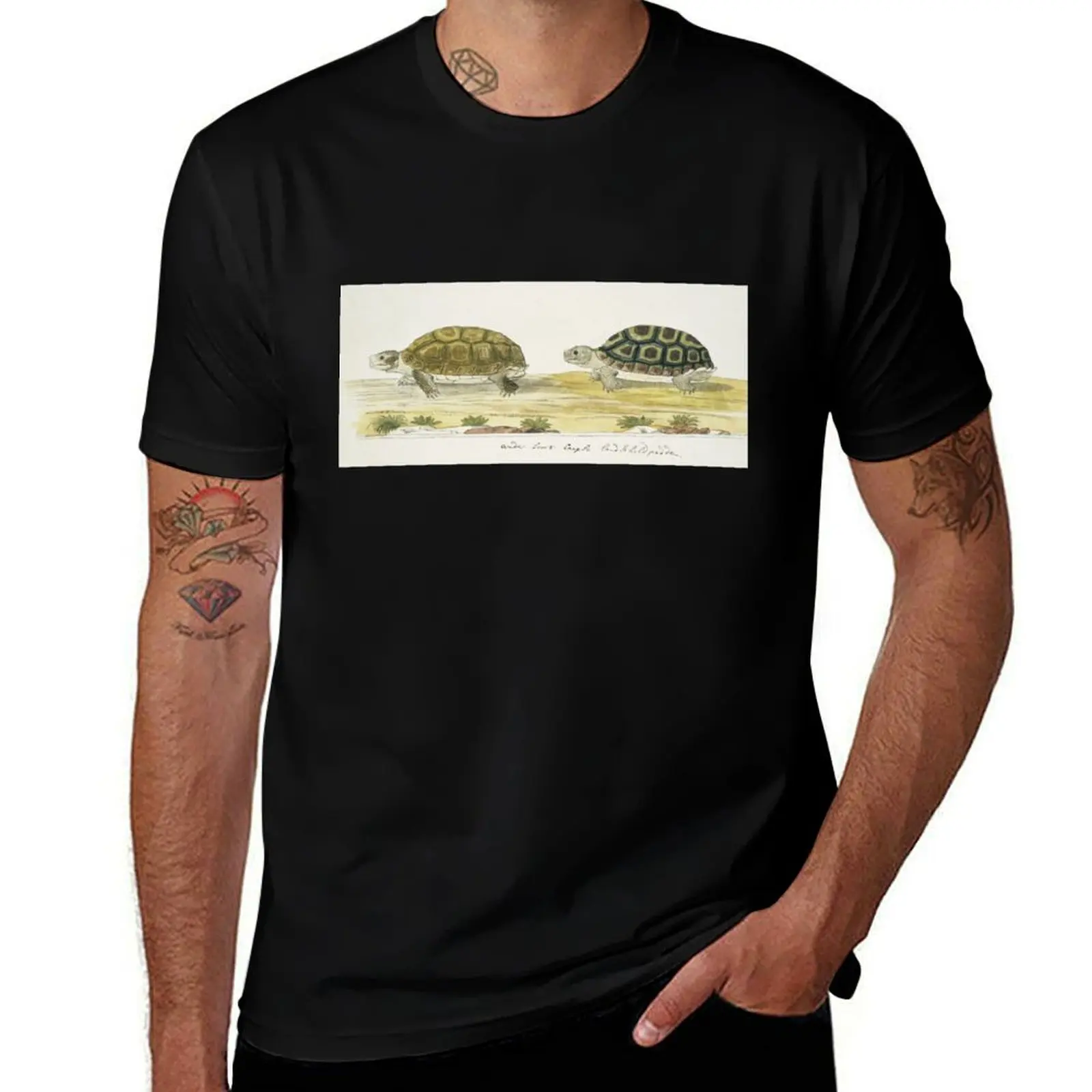 

Padloper Tortoise T-Shirt graphic t shirts for man t shirts for man pack cotton T-Shirt
