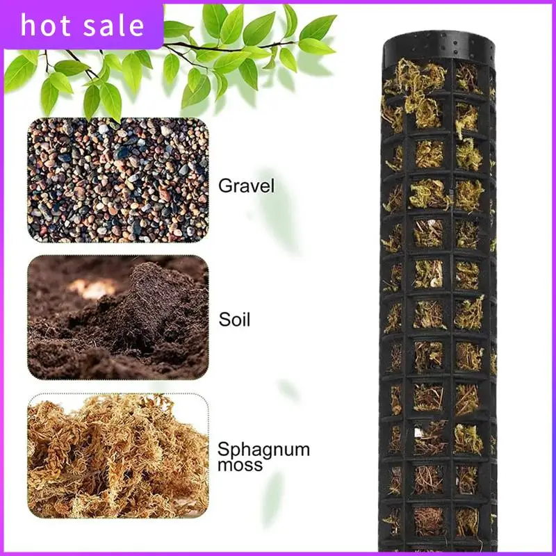 6 Pieces Monstera Trellis Moss Stick Indoor Plants Coconut, Plant Stake, Moss Pole, Climbing Aid