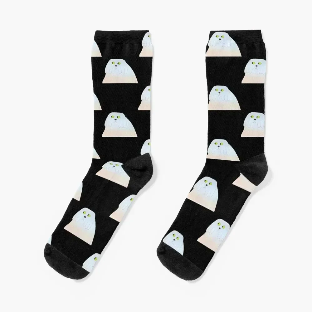 The Midnight Gospel Clancy's Dog Socks Stockings moving stockings Socks For Man Women's