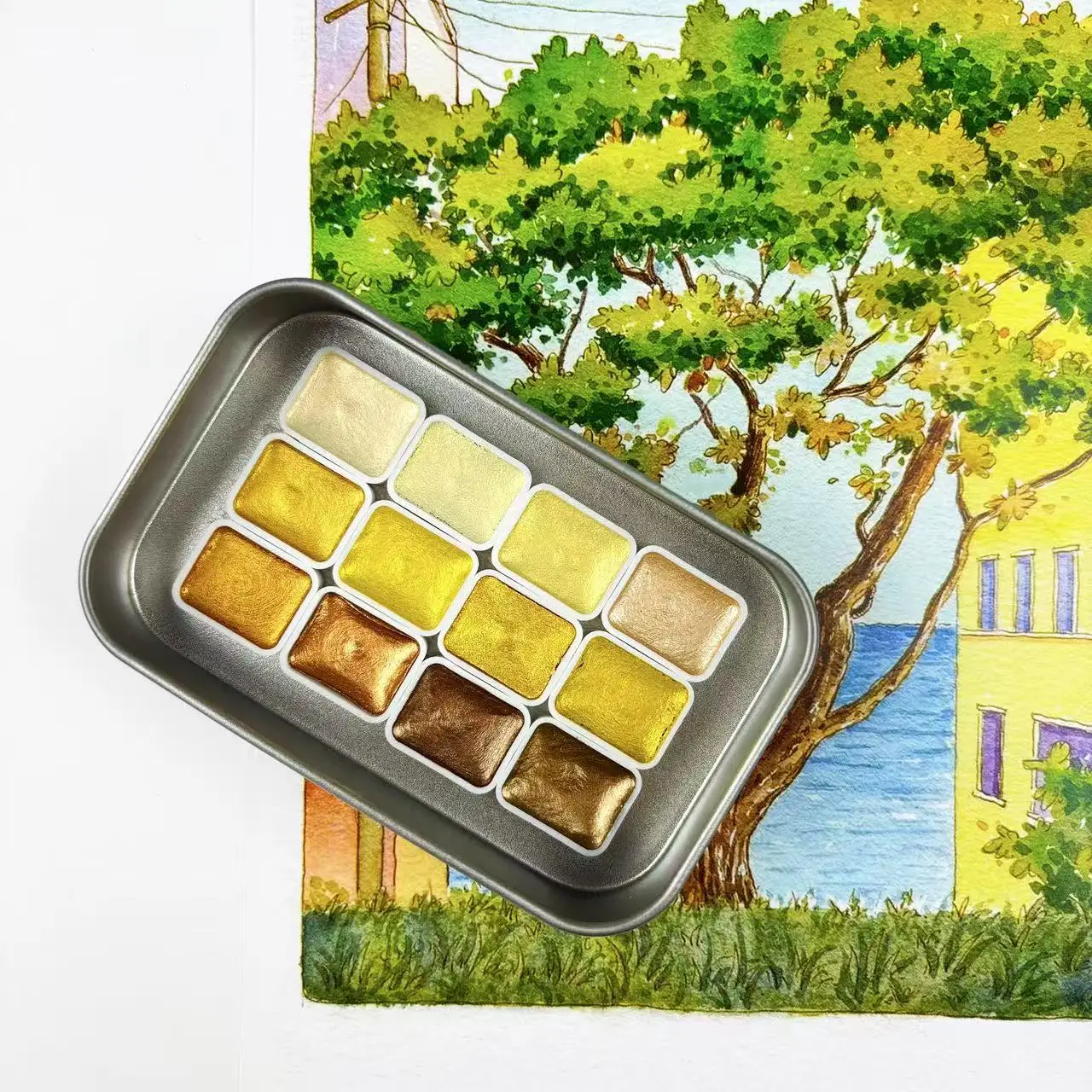 A Complete Set of Professional Watercolor Pigments Featuring 12 Colors of Solid Gold Pearl Watercolor, Designed for Art, Special