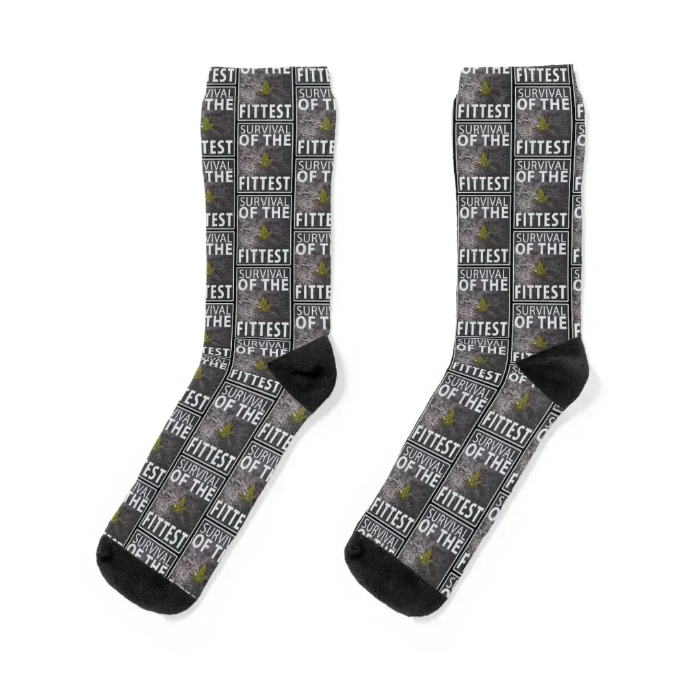 Survival Of The Fittest Socks basketball Men's loose cartoon Socks Girl Men's