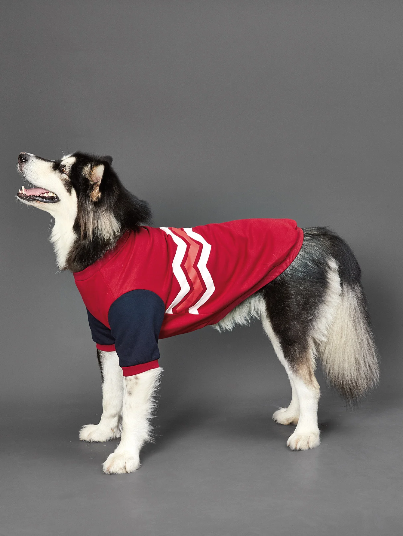 Dog Hoodie Wavy Line for Small Dogs Comfortable Costume Puppy with  Doggie Pet Clothes Cat Apparel
