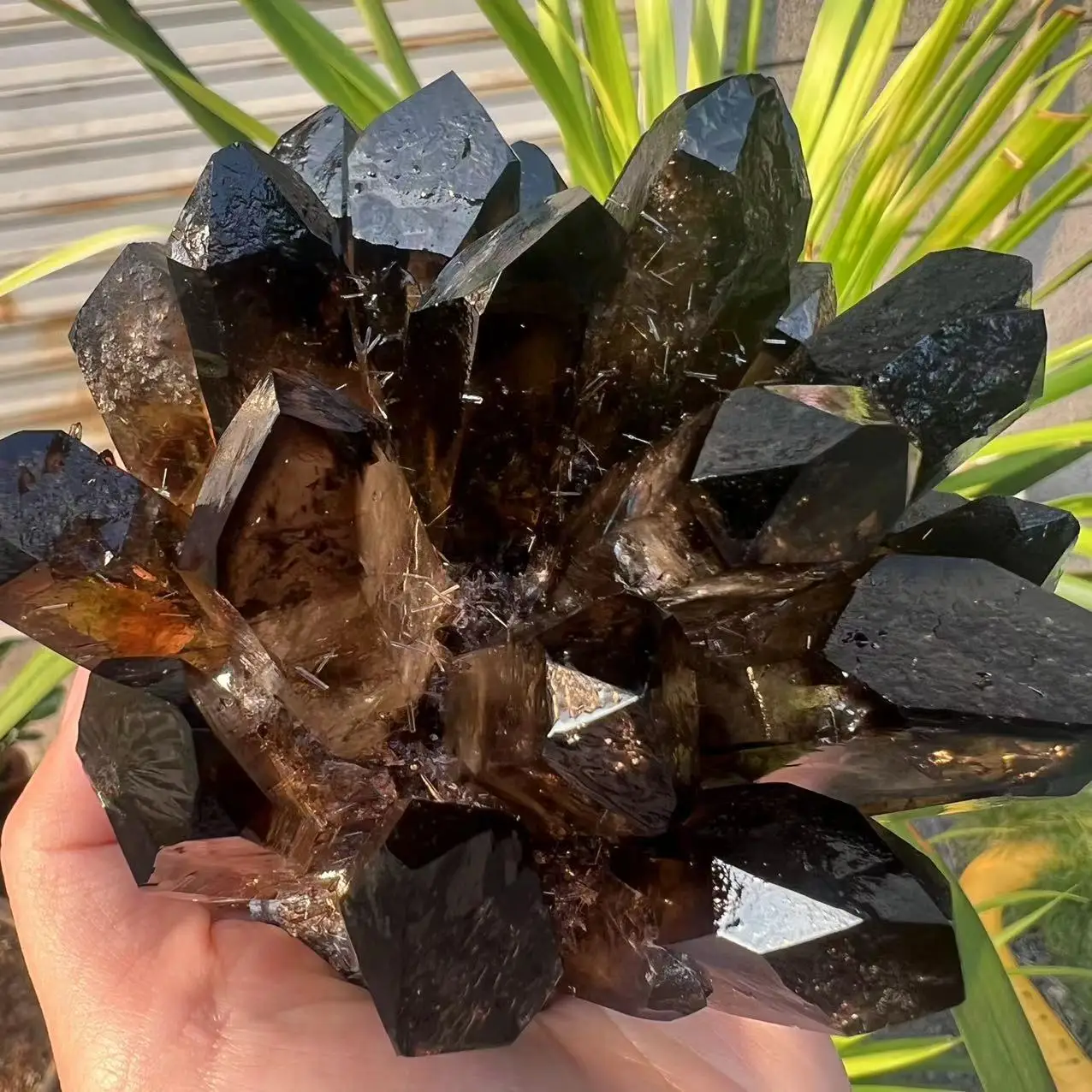 

852g Natural Smoky Black Quartz Cluster Crystal Specimen Healing