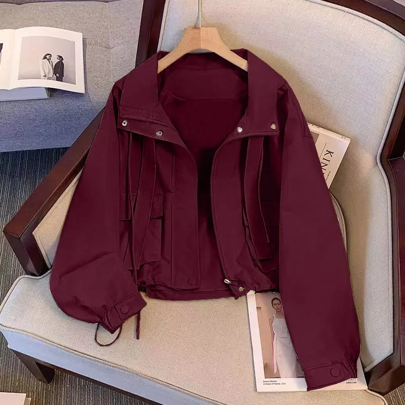 

Short Hooded Women's Jacket 2024 Spring and Autumn New Loose and Versatile Casual thin Workwear Jacket top Solid Color Commuting