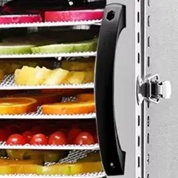 Huisdierensnackdroger, commerciële droger voor fruit, groenten en vlees, multifunctionele voedseldroger, efficiënte droger voor huisdierensnacks