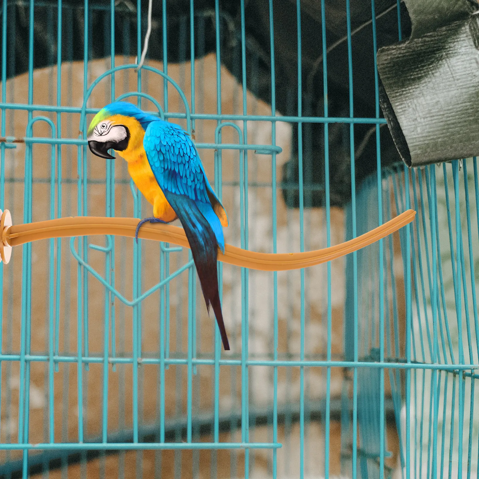 10Pcs Bird Perch Stand Premium Plastic Parrot Standing Pole for Climbing Exercise Safe Stable Foot Grip Indoor Bird Cage