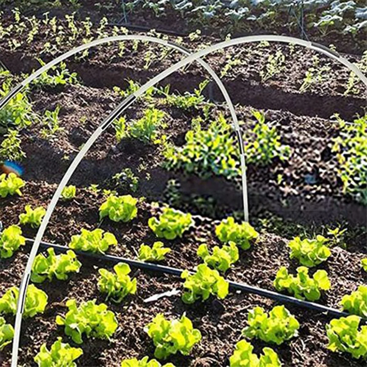 Juego de aros para invernadero de jardín, juego de postes de fibra plegables para jardinería, soporte para túnel de plantación de invernadero de arco