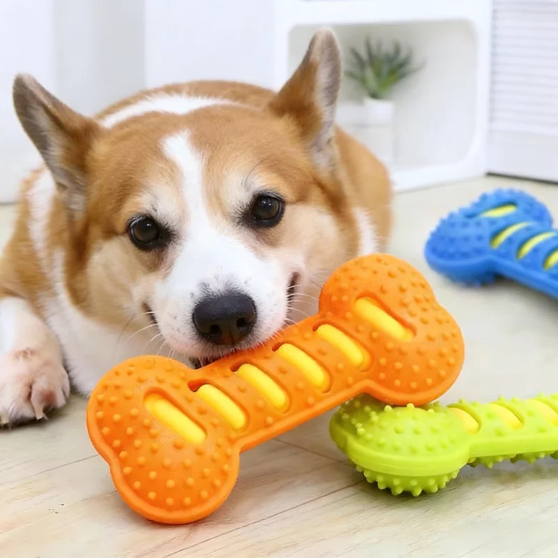 Jouet à mâcher pour chien en c - Teeth Cleaning Dog Chew Bone avis et prix