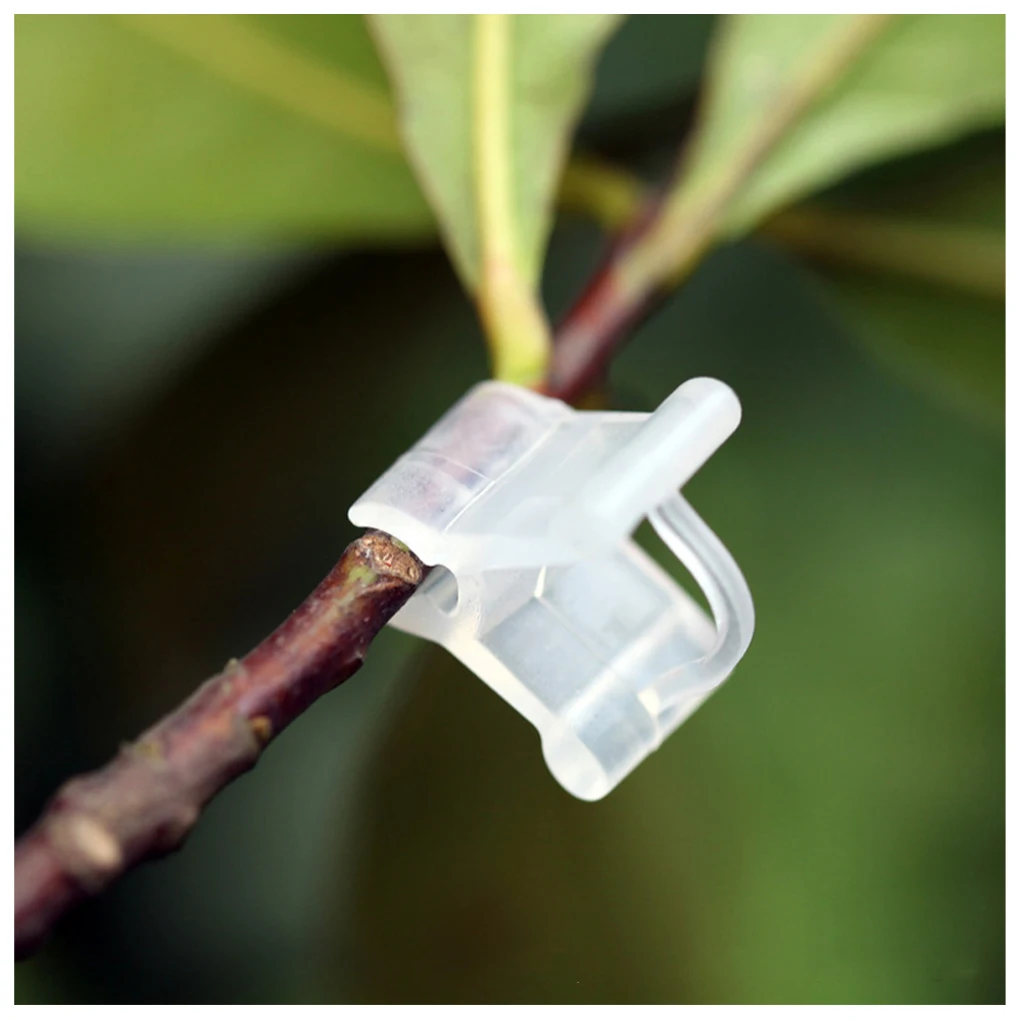 New 100PCS Vegetable Fruit Plant Grafting Clip Watermelon Strawberry Tomato Half Transparent Support Clamp Gardening Accessories